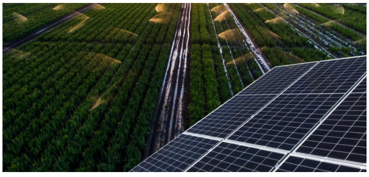 Bombeo solar Córdoba | Córdoba Solar